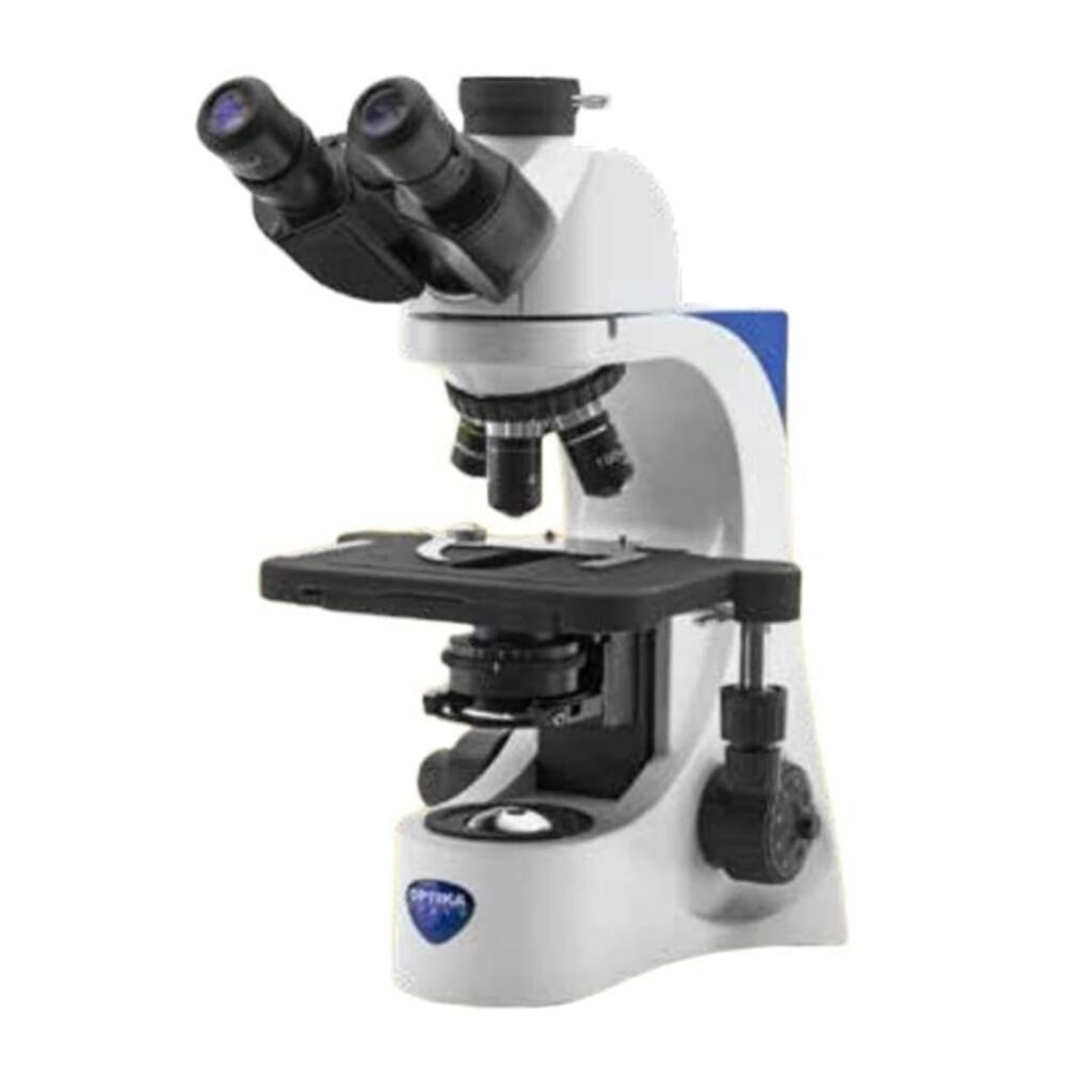 microscopio binocular